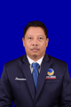 Ir. I NENGAH SENANTARA