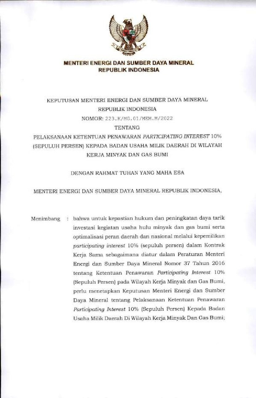 Keputusan Menteri Energi Dan Sumber Daya Mineral No 223.K/MG.01/MEM.M ...